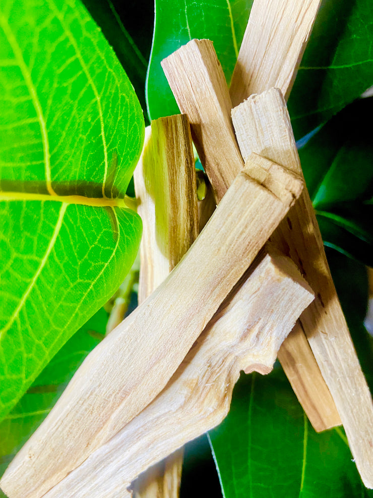 Palo Santo